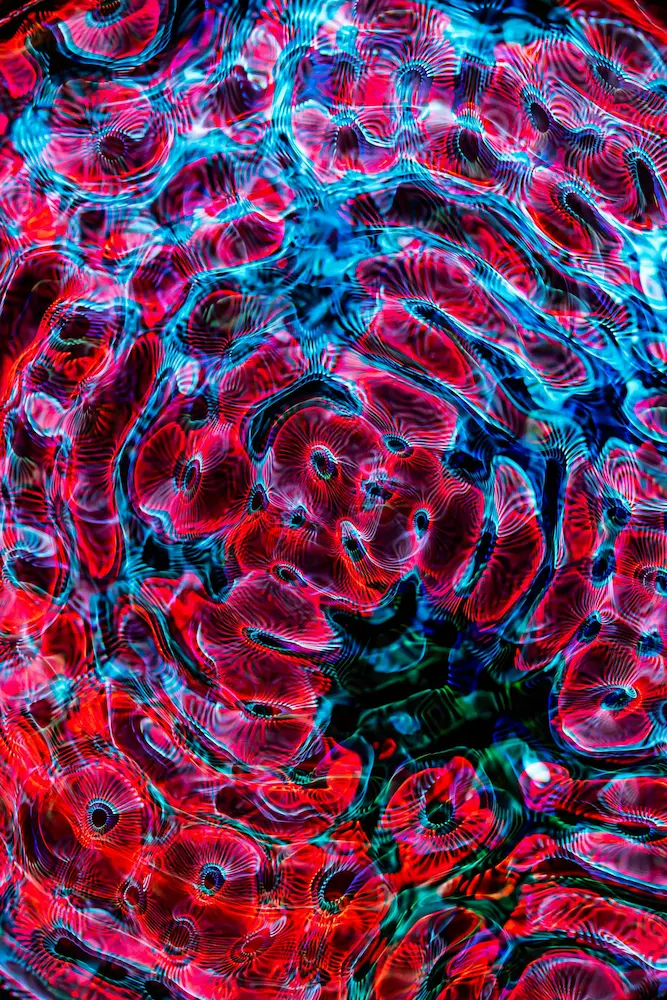 cholesterol guide LDL vs HDL levels